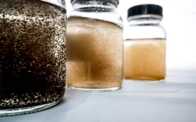 Lignopure talks LignoPearls with the Süddeutsche Zeitung