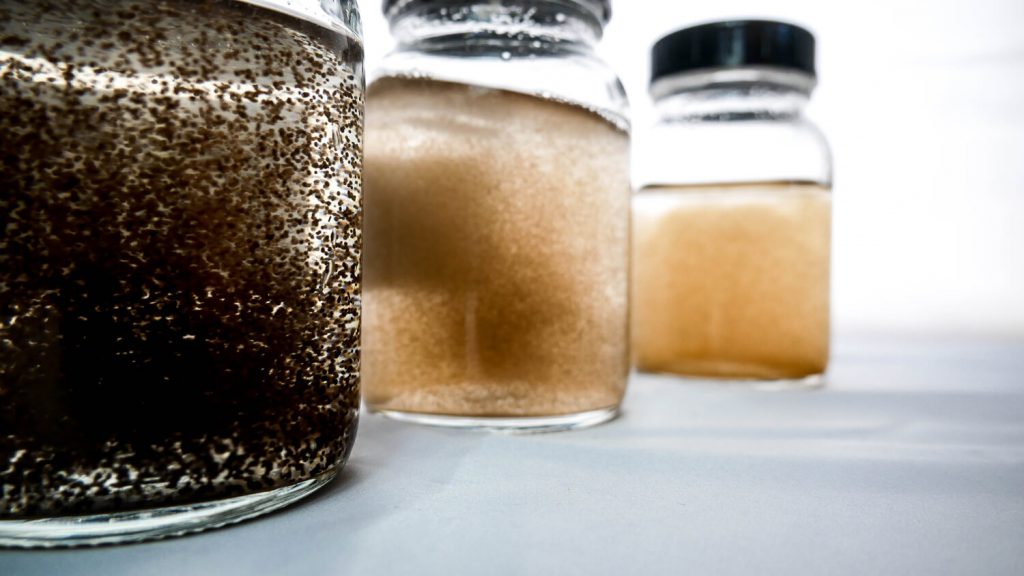 Lignopure talks LignoPearls with the Süddeutsche Zeitung