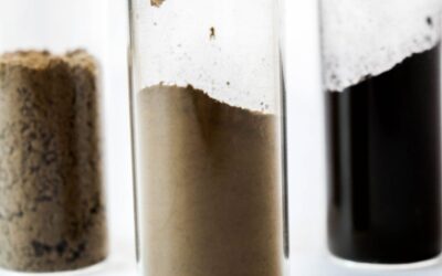 Lignopure wins the Hamburg KfW-Gründer Award 2021