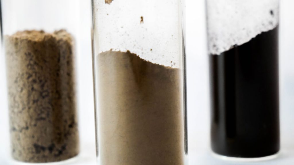 Lignopure wins the Hamburg KfW-Gründer Award 2021