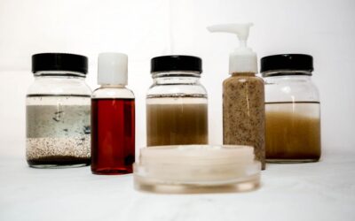 Sirius Facilities talks with Lignopure’s founders