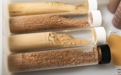 Lignopure is company of the month for “Auf dem Radar!” by TZEW