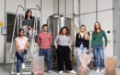 LignoBase for refined cosmetics applications