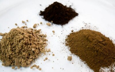 Lignopure “revolutionizes” cosmetics industry with upcycled LignoBase line