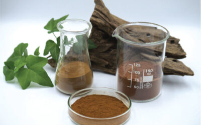 Lingopure featured in Global Cosmetic Industry’s what’s trending in skin care ingredients?