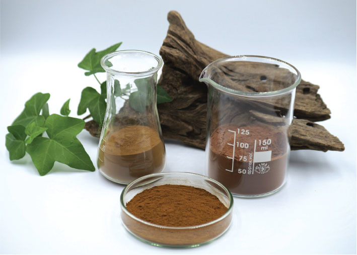 Lingopure featured in Global Cosmetic Industry’s what’s trending in skin care ingredients?