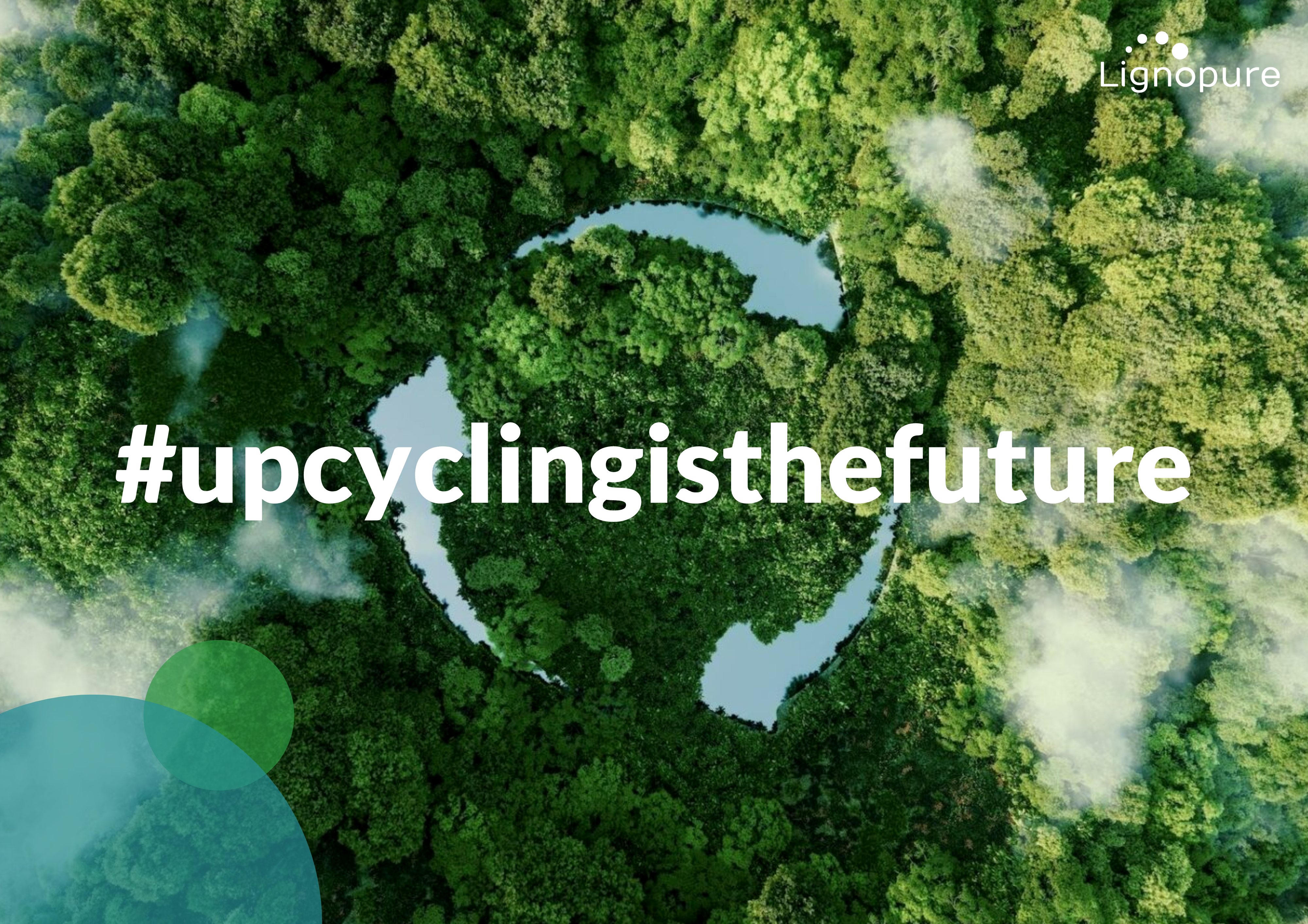 what is lignin? Lignopure