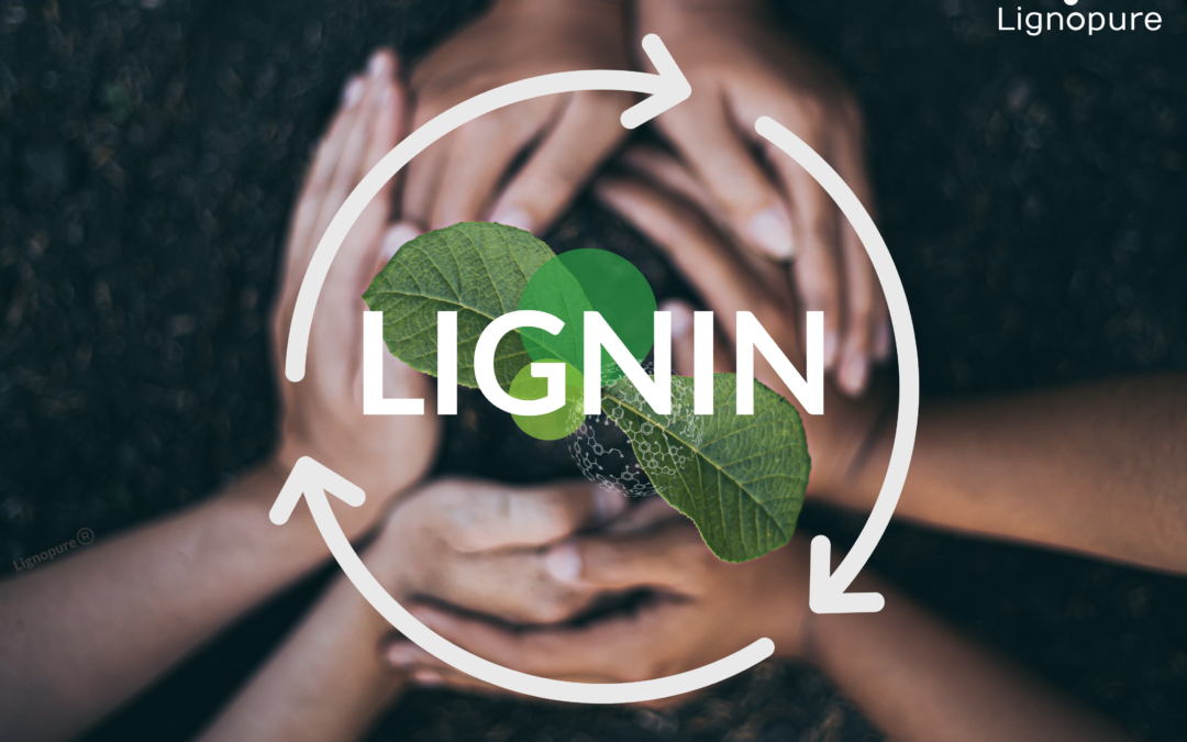 Lignopure’s sustainability commitment