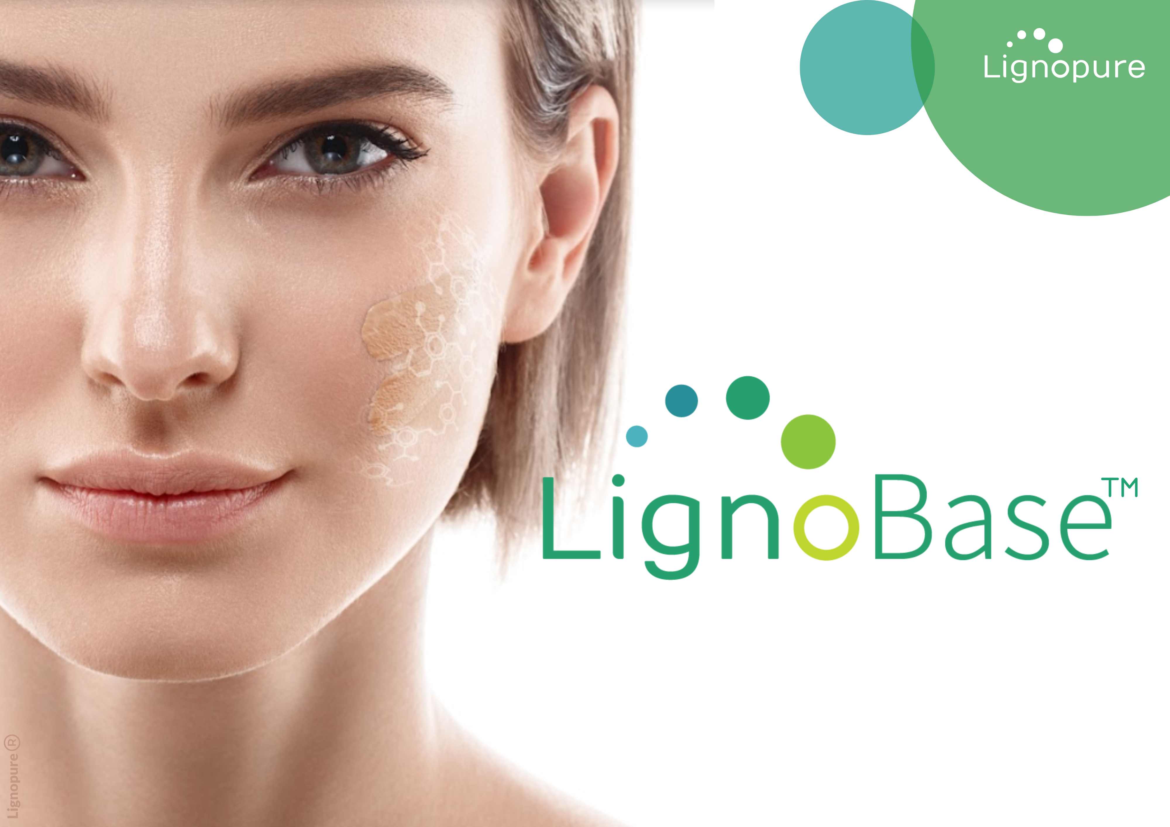 what is lignin? Lignopure