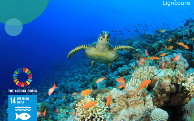 Lignin, a solution for healthier oceans