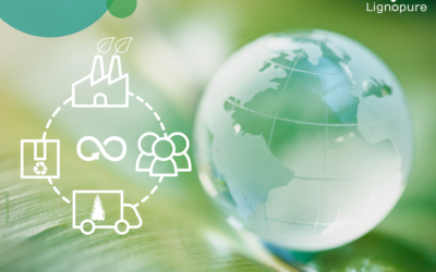 Lignopure’s ethical supply chain