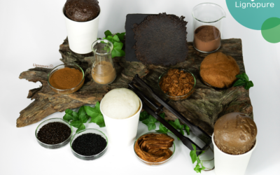 Lignin-based novel materials