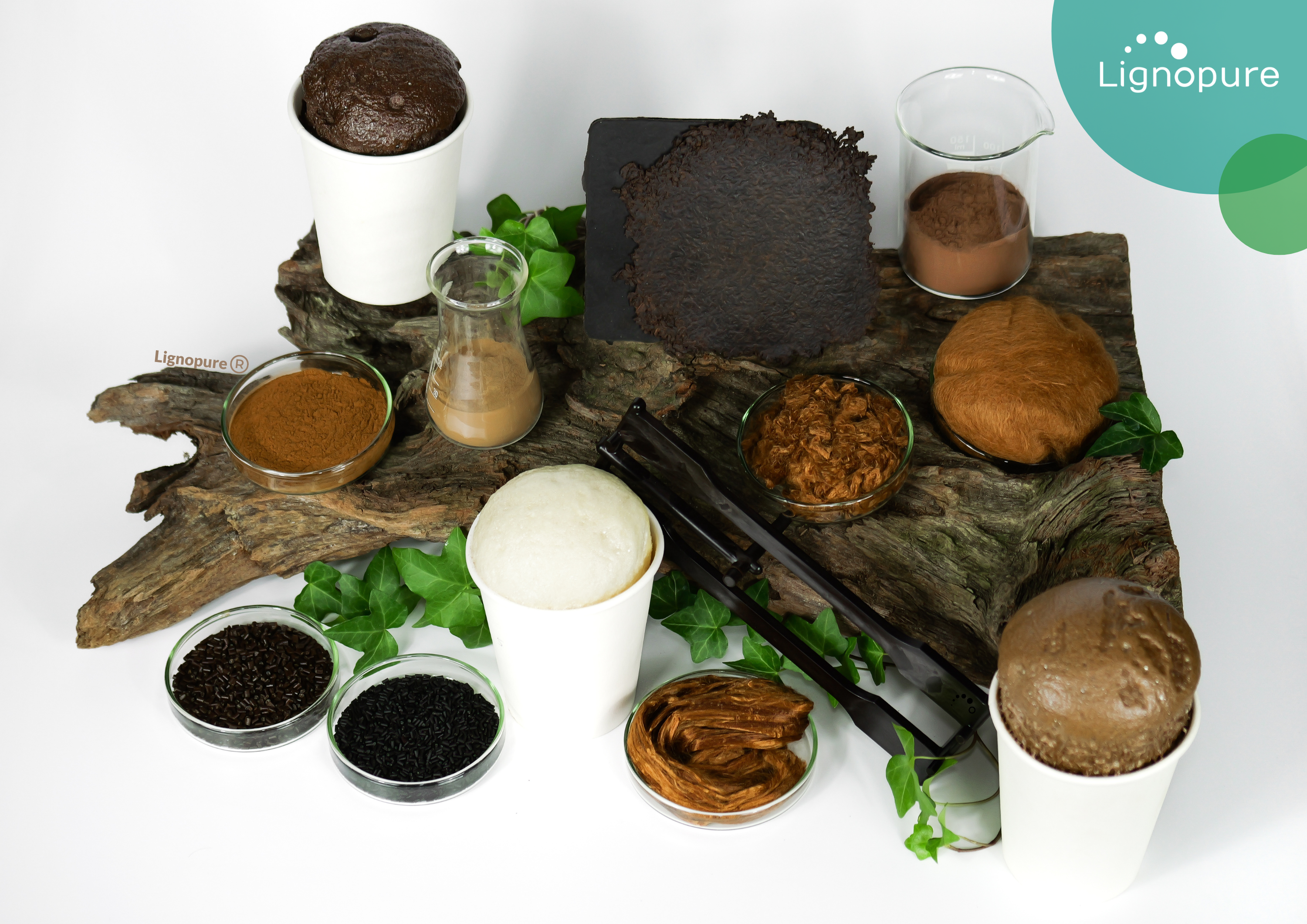 what is lignin? Lignopure