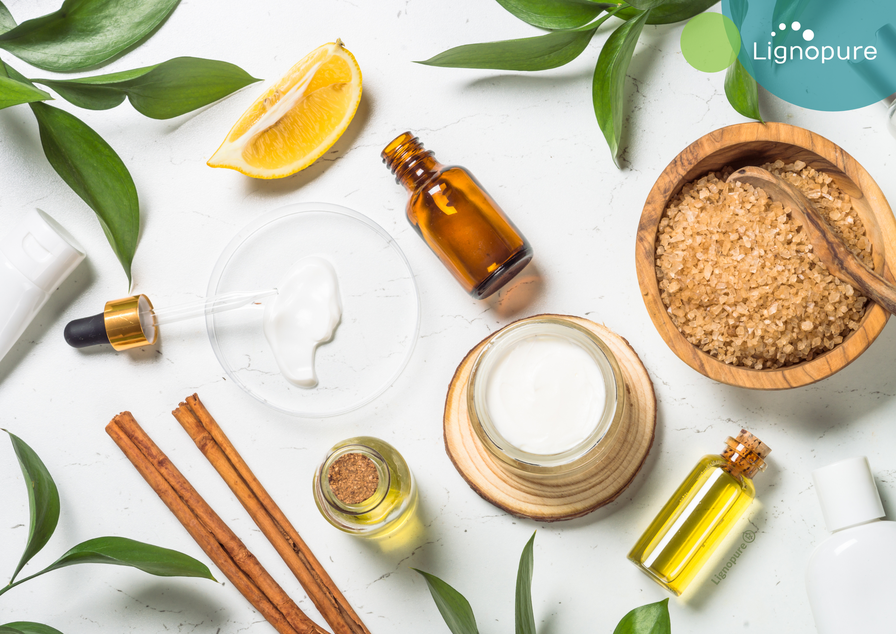 what is lignin? Lignopure