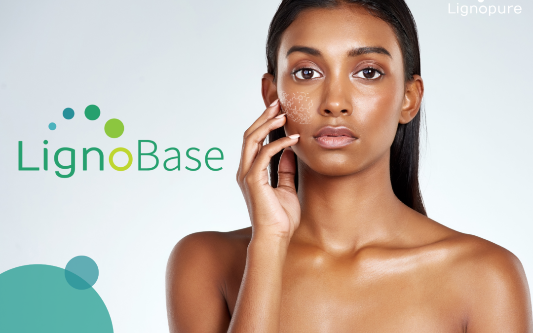 LignoBase antioxidant properties