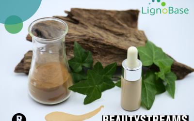 LignoBase featured in BEAUTYSTEAMS Premium