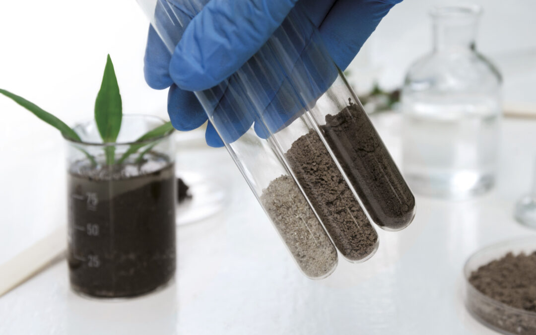 Funded R&D project granted: FORFUN – From Forest to Functional Particles