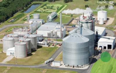 Lignin isolation methods