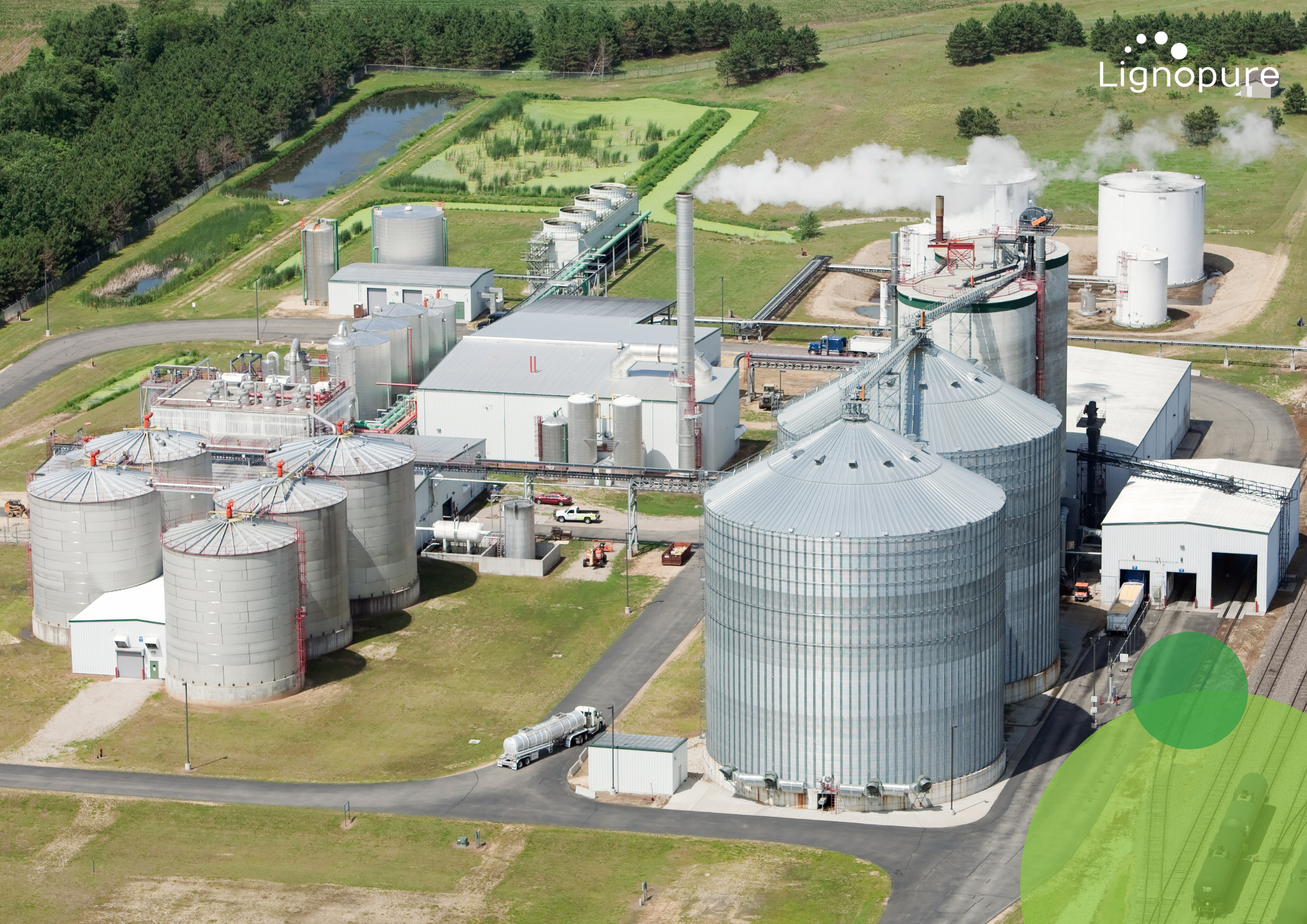 what is lignin? Lignopure