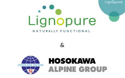 Webinar: Particle technologies for lignin | much more than a by-product
