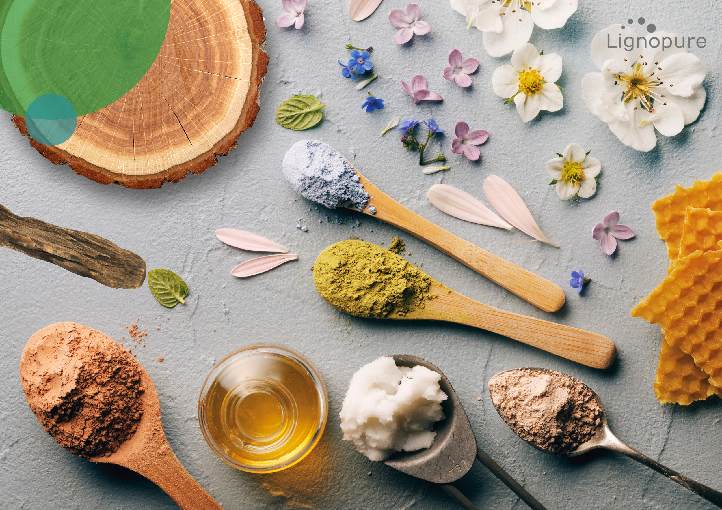 what is lignin? Lignopure