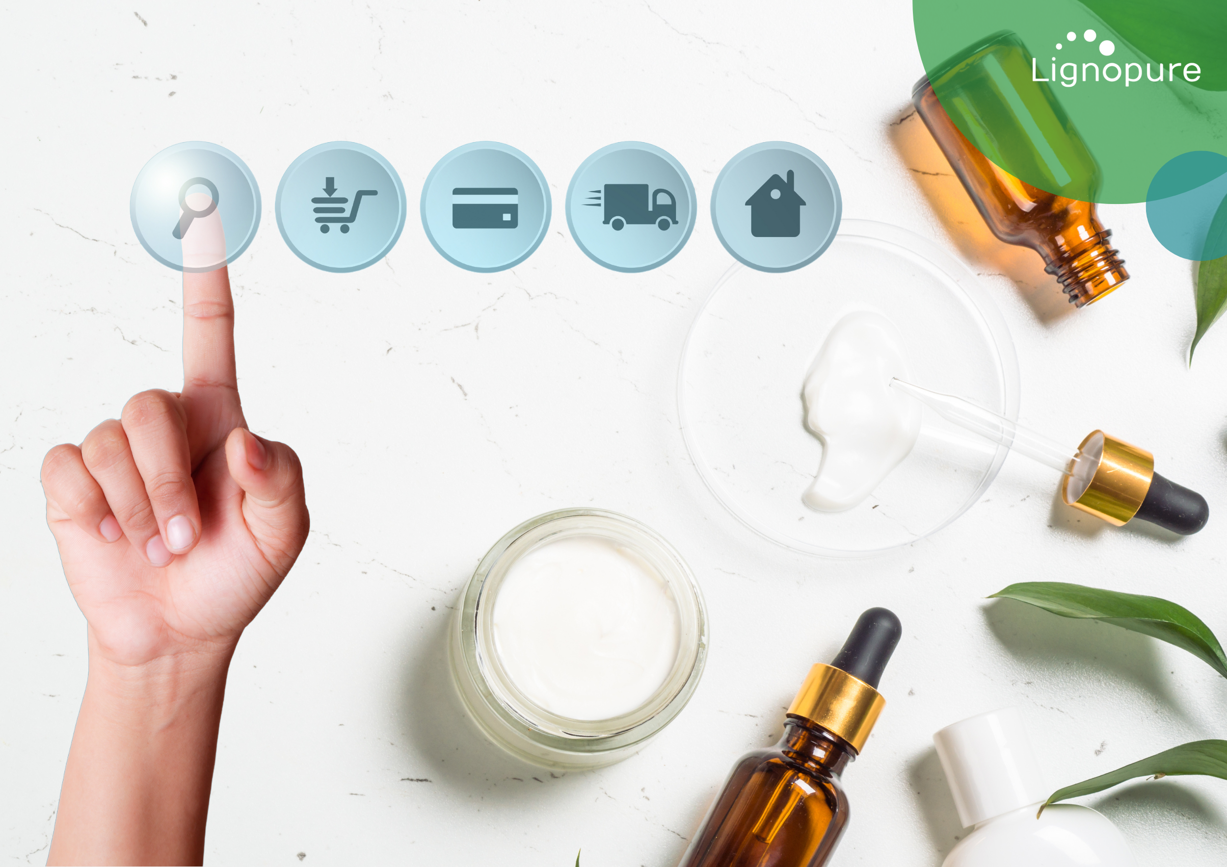 what is lignin? Lignopure