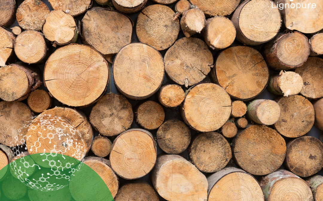 Lignopure is featured in Research and Market’s “Global Market for Lignin 2024-2034” report