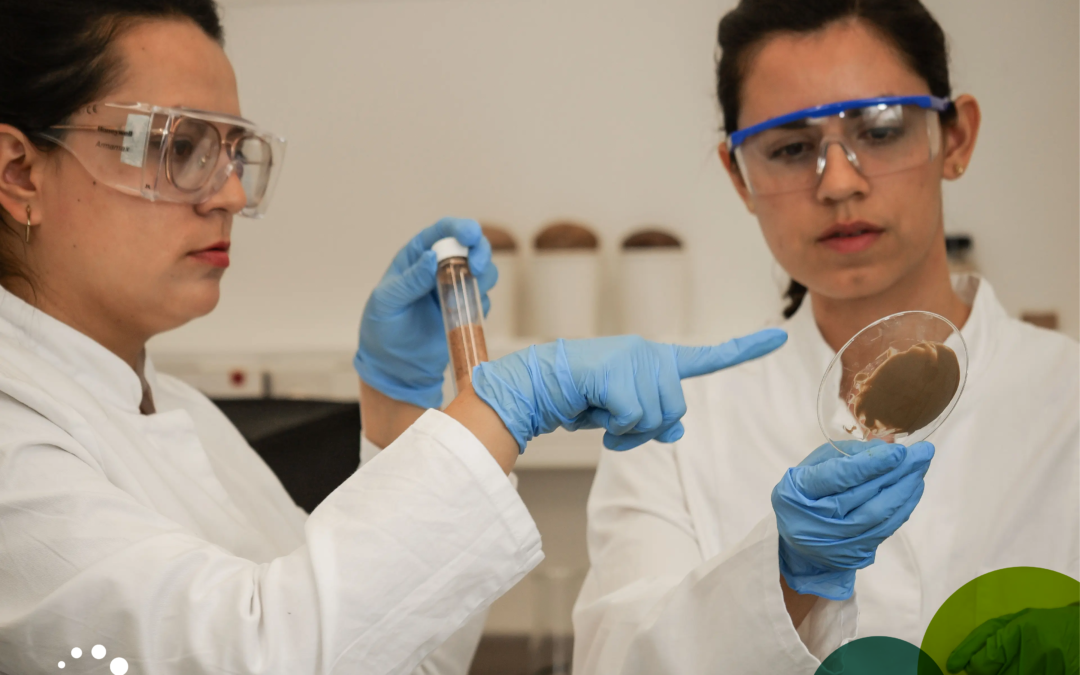 LignoBase Takes Center Stage: A TOCCO Spotlight