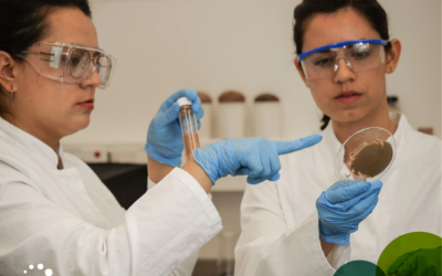 LignoBase Takes Center Stage: A TOCCO Spotlight