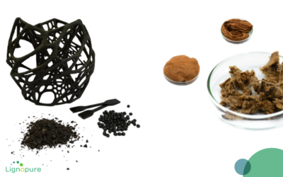 Lignin capacities to substitute fossil-based materials