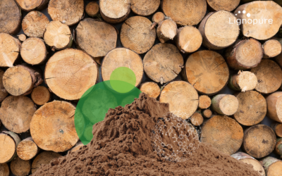 Lignopure lignin-solutions in focus in Springwise