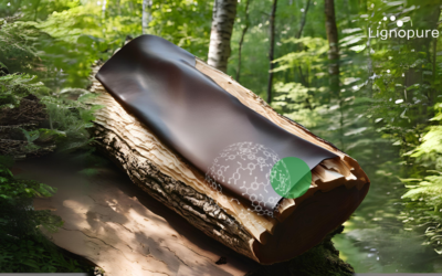 The environmental benefits of bio-based leather alternatives