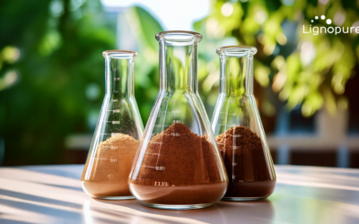 LignoBase as the Ingredient to Watch this 2025 by GCI