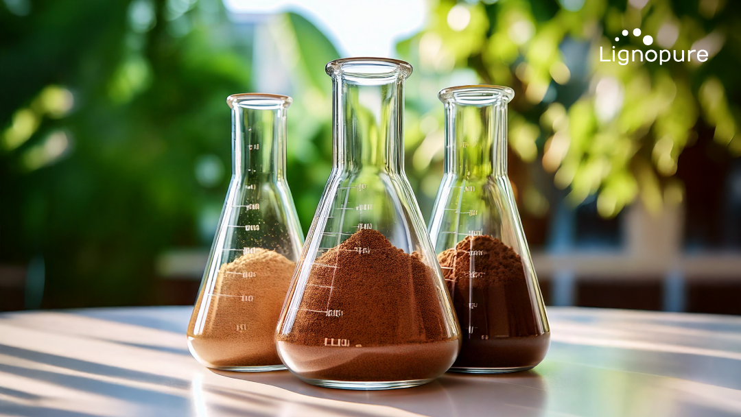 LignoBase as the Ingredient to Watch this 2025 by GCI