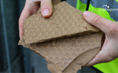 Lignopure Visits European Lignin Supplier