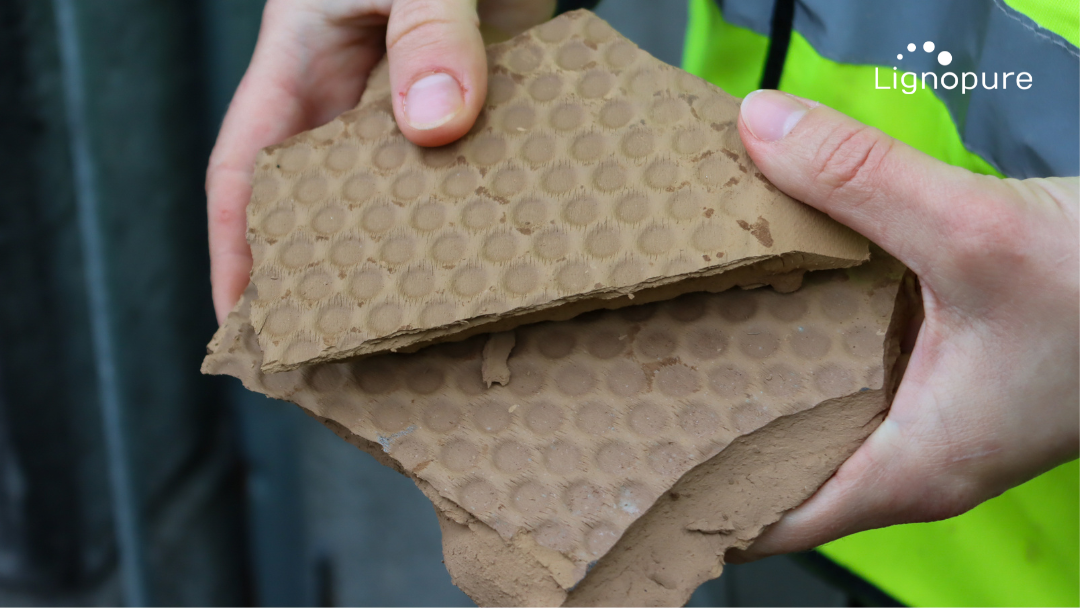 Lignopure Visits European Lignin Supplier