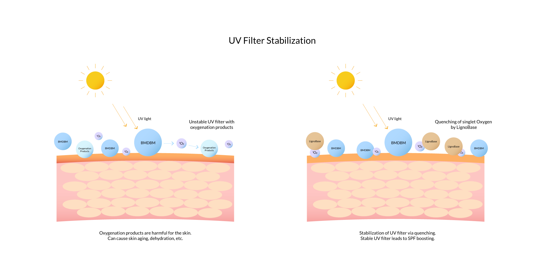 LignoBase SPF-UV Filter Stabilization