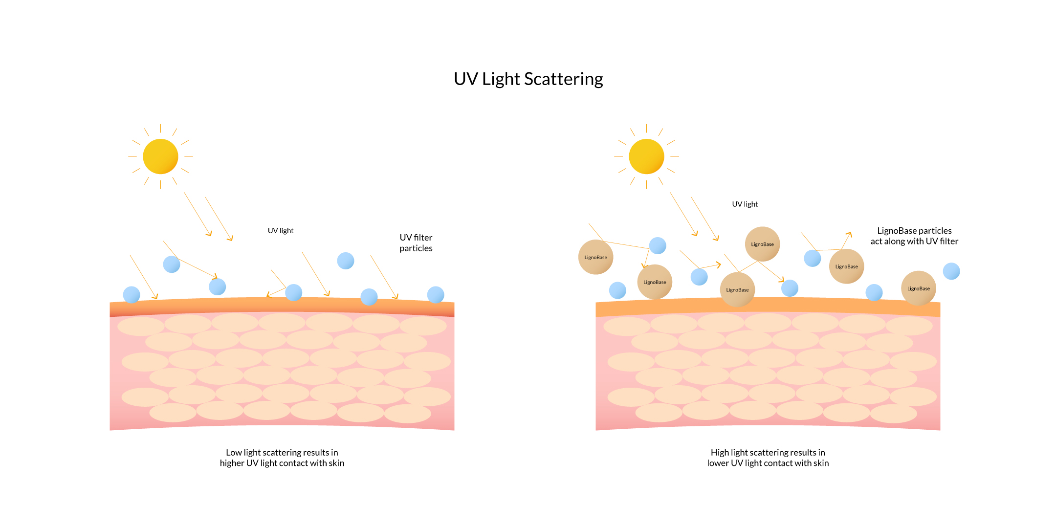 LignoBase SPF-UV Light Scattering