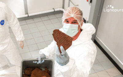 Pioneering Lignin-based Solutions with NBank’s Support