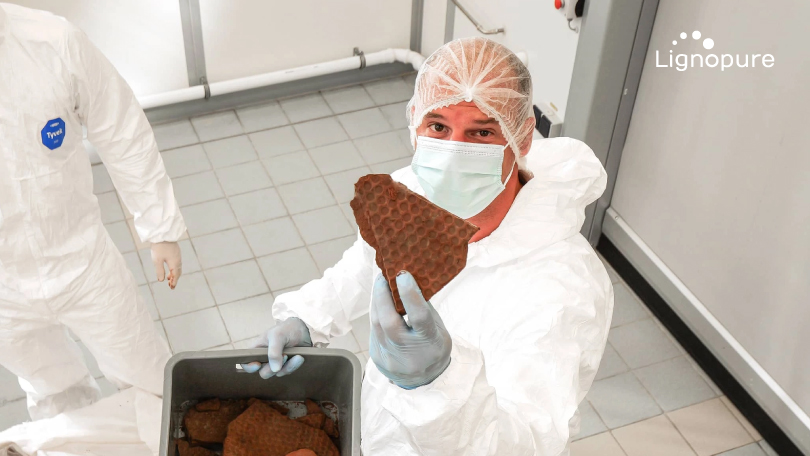 Pioneering Lignin-based Solutions with NBank’s Support